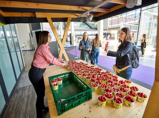 Eine Frau verkauft an einem Stand Erdbeeren