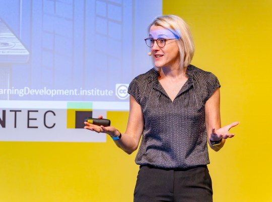 An expert gives an presentation 