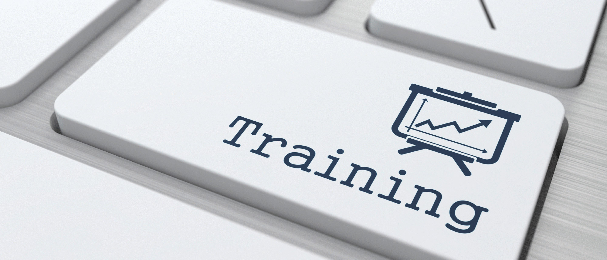 Durch Trainings und Schulungen können Lernende neues Wissen erlangen.